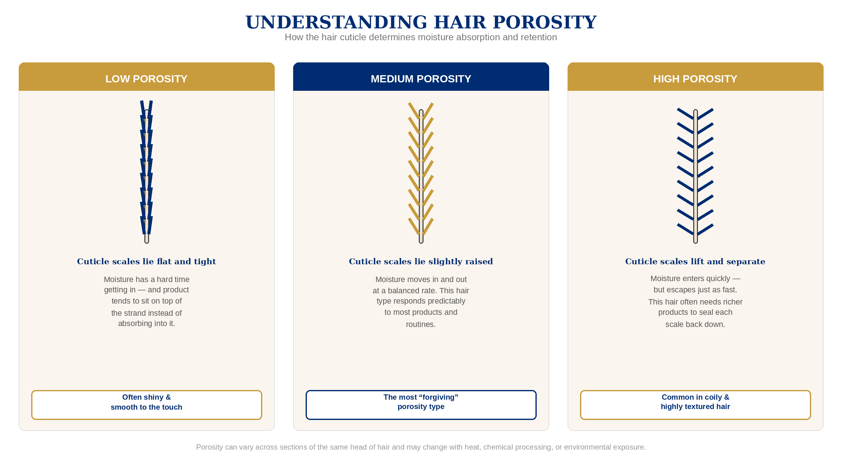 Low, medium, and high hair porosity comparison from Scalp-First Hair Care